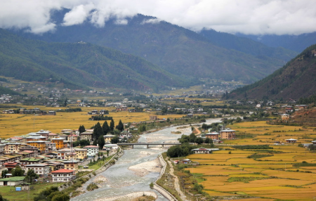 paro1 