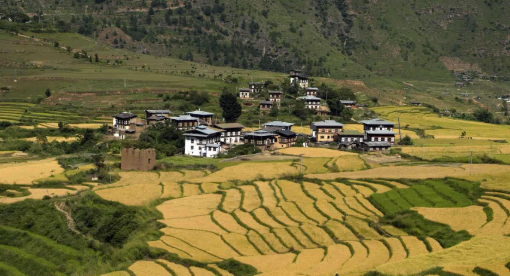 punakha2 Air